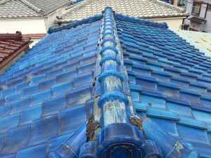 20160815_042558838_iOS