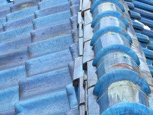 20160815_042605110_iOS