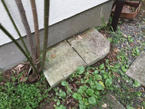 20160815_233129782_iOS