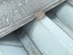 20160818_051739895_iOS
