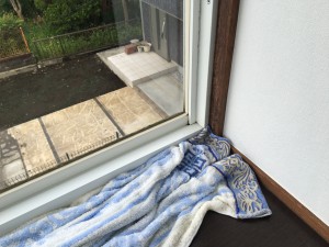 20160820_064024636_iOS