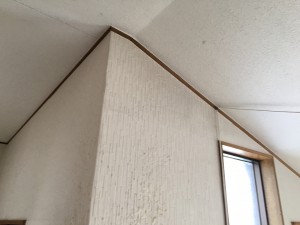 IMG_3696