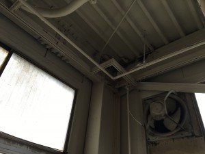IMG_3798
