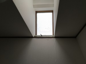 IMG_3807