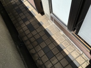IMG_3839