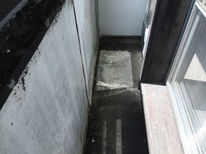 IMG_3893