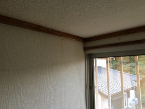 IMG_3910