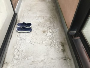 20160913_060113455_ios
