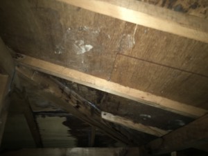 20160921_012331383_ios