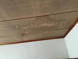 20160922_052559406_ios
