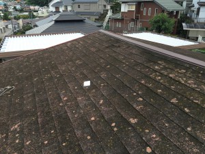 20160922_053439236_ios