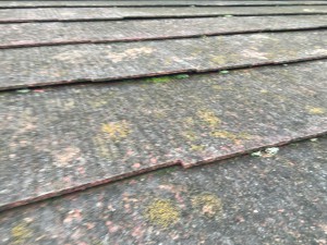 20160922_053542214_ios