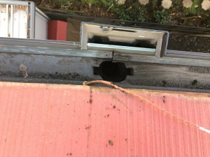 20161107_051422582_ios